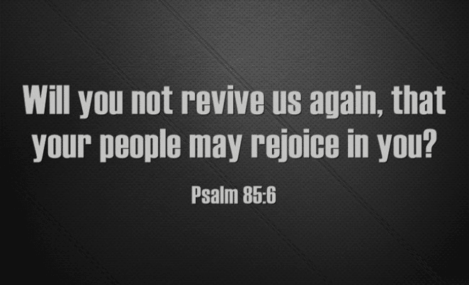 Will you not revive us againt, that your people may rejoice in you? Psalm 85:6